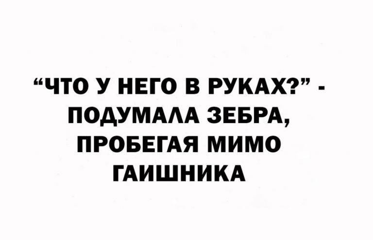 Юмор за день и пошлая зебра