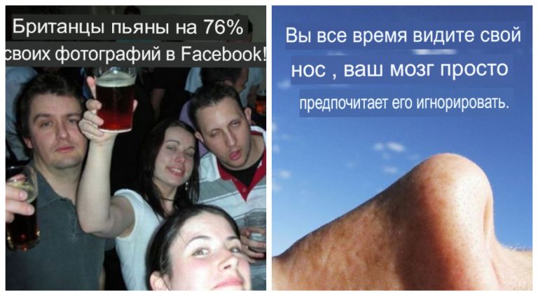 20+ интригующих и познавательных фактов, чтобы блеснуть в разговоре эрудицией