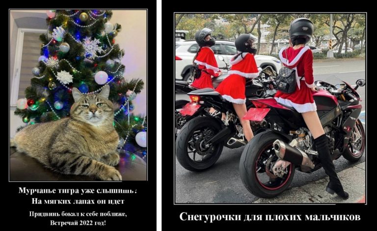 Новые демотиваторы и мурчание тигра