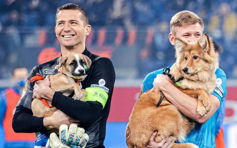 Футболисты петербургского ФК «Зенит» вышли на поле с щенками