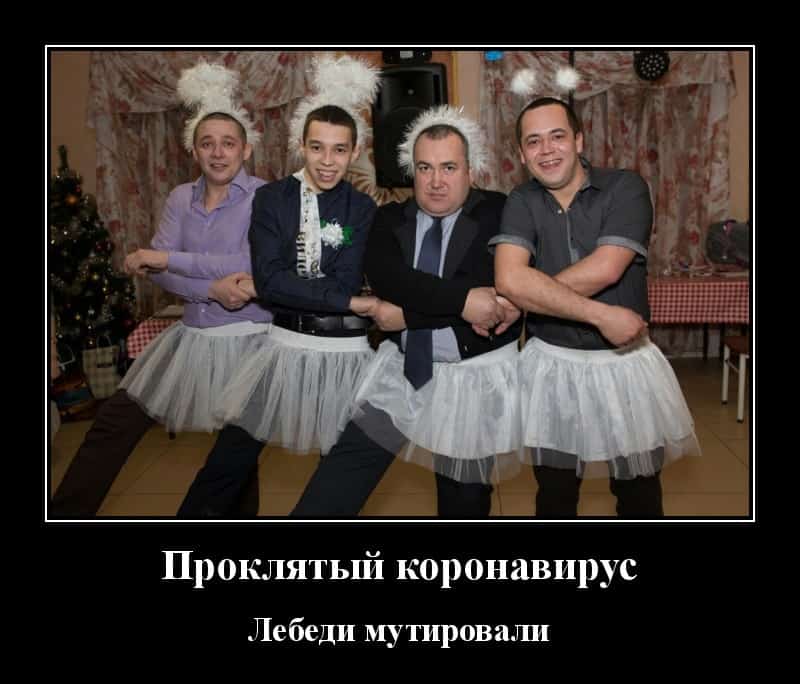 Новые демотиваторы и мутировавший лебедь