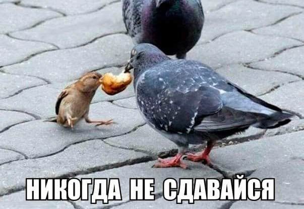 «Нас бьют, а мы летаем» – 5 знаков зодиака, которые никогда не сдаются