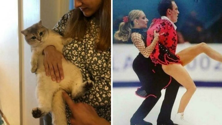 Фотографии, которые вводят в ступор, пока не приглядишься второй раз