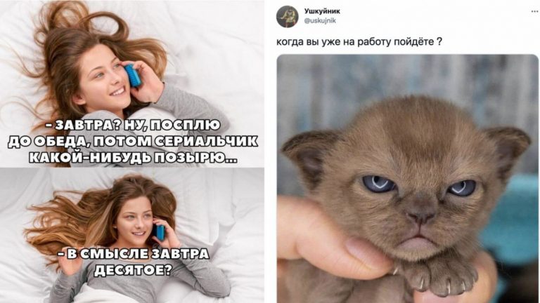 Гарри Поттер и завтра на работу: шутки и мемы про тех, кто вышел после долгих праздников на службу