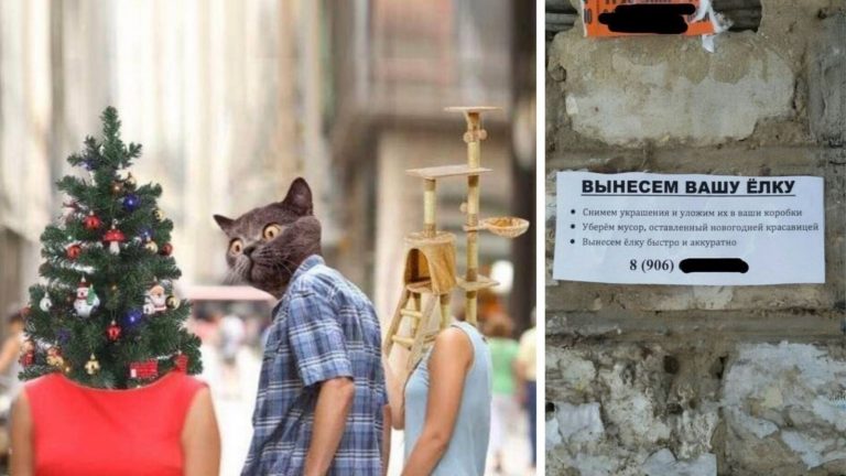 Думайте выбрасывать ёлку? Слабаки! Тут собраны идеи как утилизировать её креативно