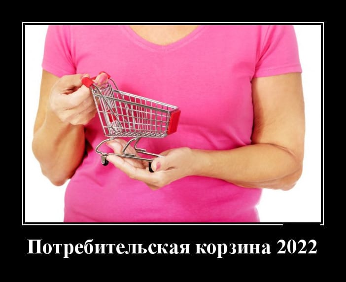 Новые демотиваторы и потребительская корзина 2022