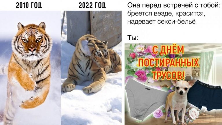 Все прикольные картинки с надписями за неделю и день чистых трусов