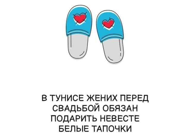 Сохраните в закладки! 20 шпаргалок о нашем теле, животных и мире вокруг