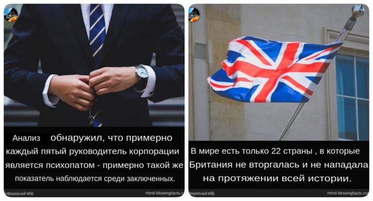 Серийные убийцы ведут себя как пчелы и другие поразительные факты, в которые трудно поверить
