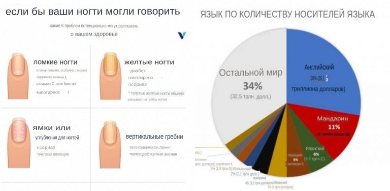 Занимательная иконографика обо всем на свете