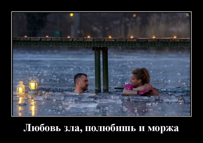 Новые демотиваторы и полюбишь и моржа