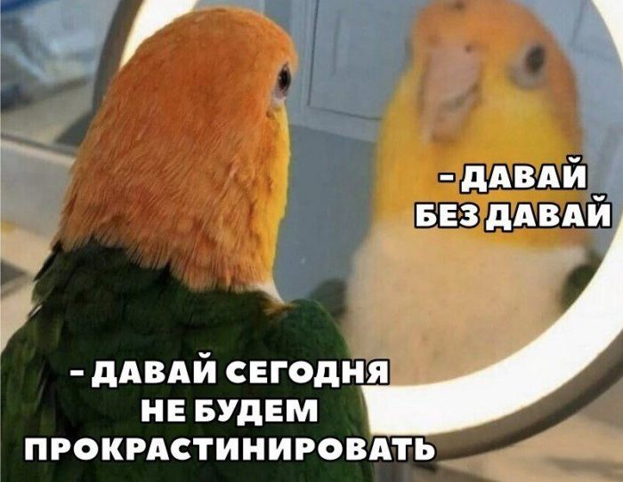 Давай никогда! Шутки и мемы про людей, познавших дзен прокастинации