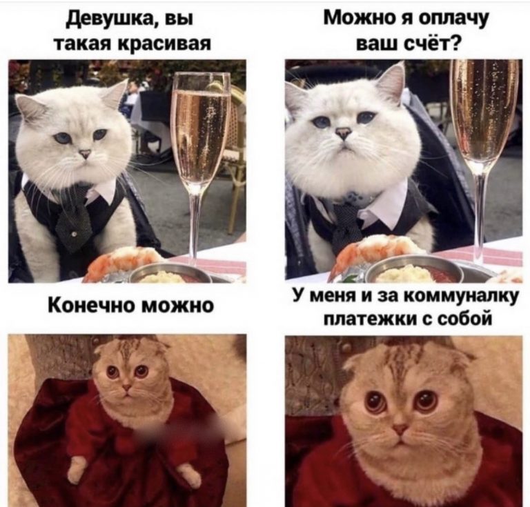 Юмор за день и Георгий Победоносец