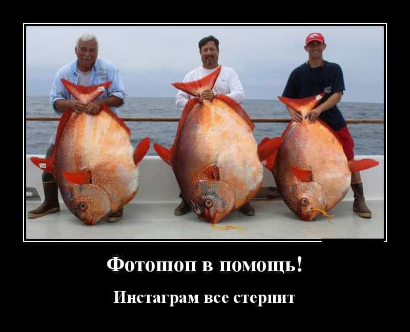 Новые демотиваторы и инстаграм все стерпит
