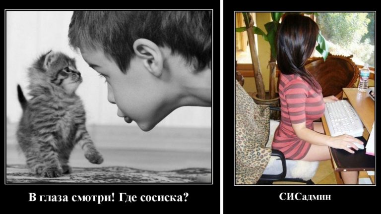Новые демотиваторы и где сосиска