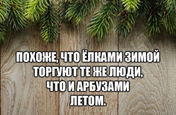 Фото приколы понедельника и кто торгует ёлками