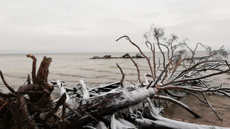 Штормы и приход большой воды: в ближайший месяц эрозия побережья на море продолжится