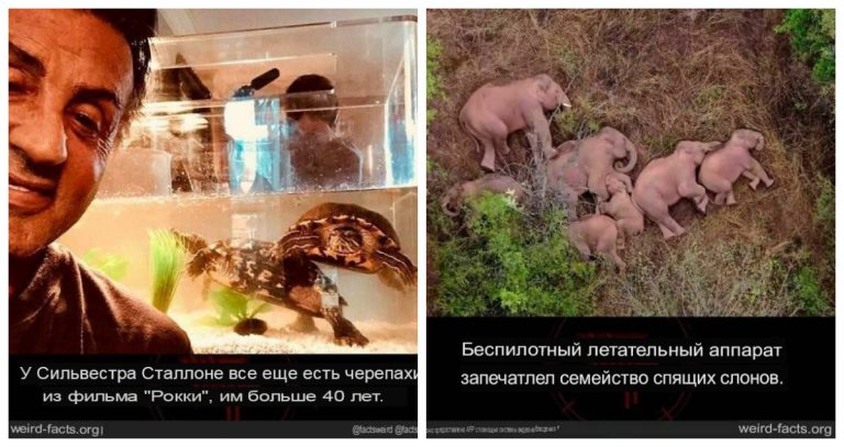 Удивительные факты и вдохновляющие истории со всего мира, чтобы воскликнуть «вот это да!»