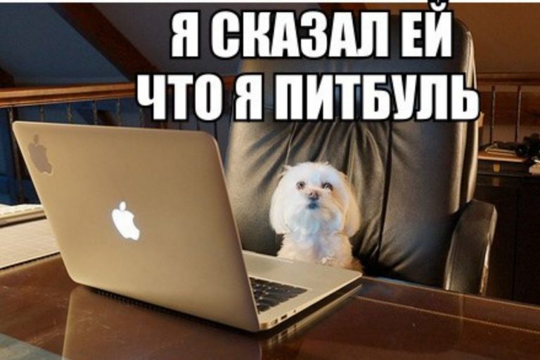 Свайпаем вправо: Знаки зодиака и знакомства в интернете — разбираемся что к кому