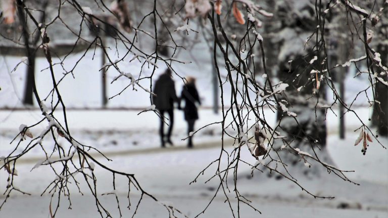 Погода: облачно, небольшой снег