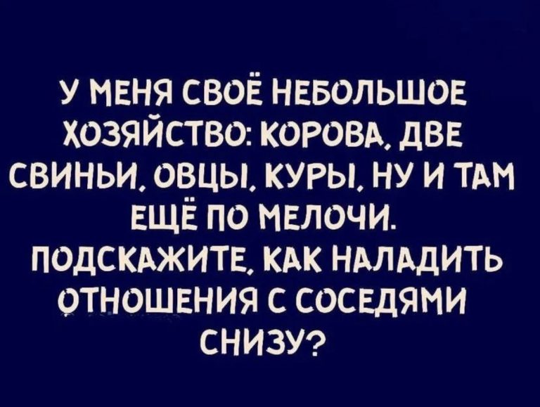 Юмор за день и небольшое хозяйство