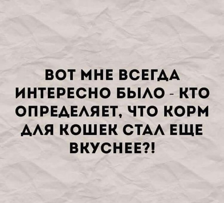 Юмор за день и корм для кошек