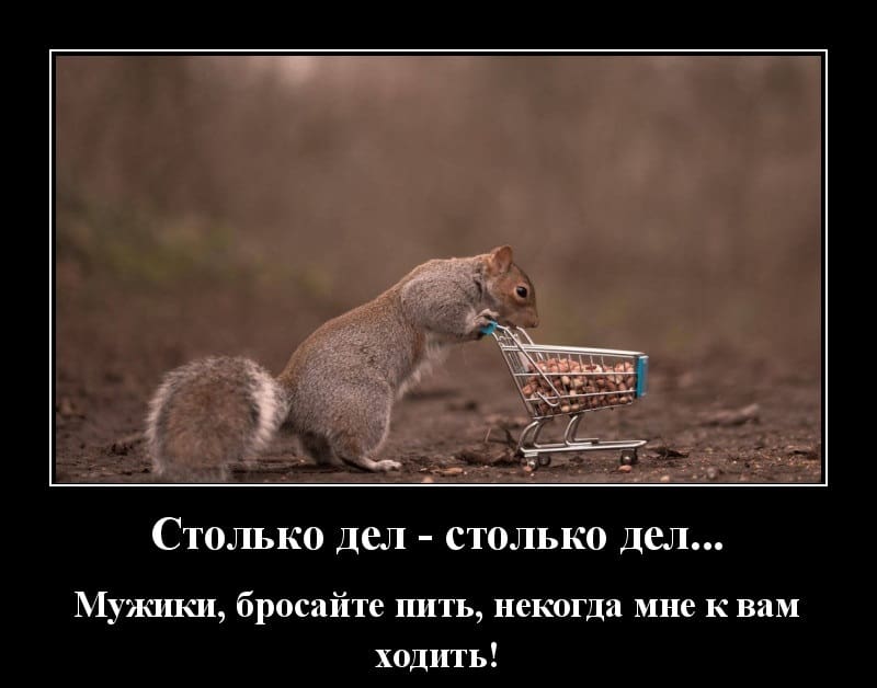 Новые демотиваторы и пора бросать пить
