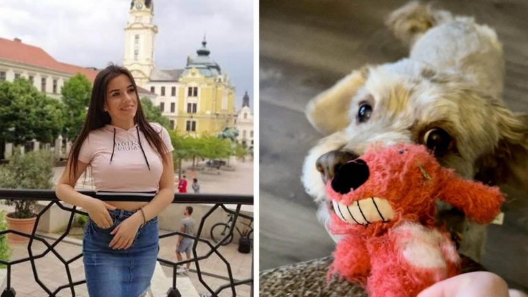 На эти фотографии 100% придётся посмотреть дважды