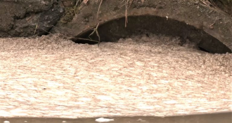 В Салдусском крае погиб пятилетний мальчик, упавший в водосточную трубу
