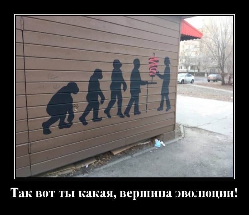 Новые демотиваторы и вершина эволюции
