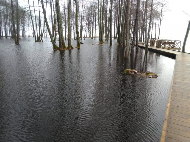 Уровень воды в реках Курземе и Земгале достиг самого высокого уровня за последние годы