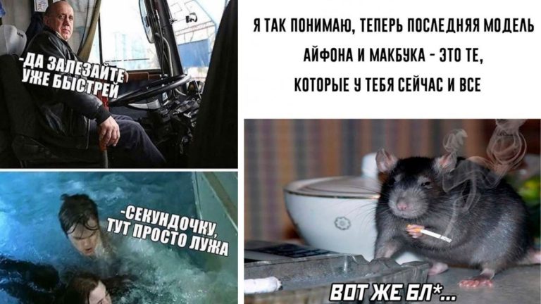 Смешные картинки и мемы с надписями из социальных сетей от 24 февраля