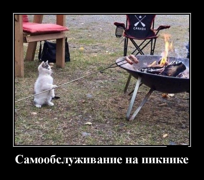 Новые демотиваторы и самообслуживание на пикнике