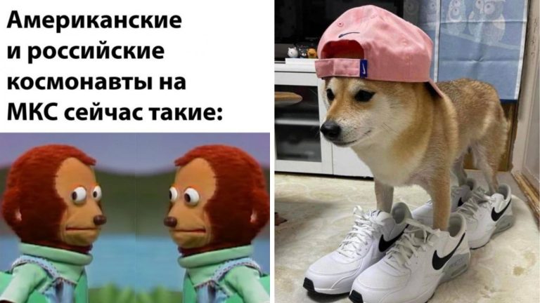 Немного прикольных картинок, чтобы разрядить обстановку