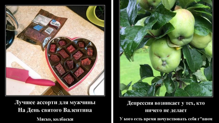 Новые демотиваторы и ассорти для мужчин