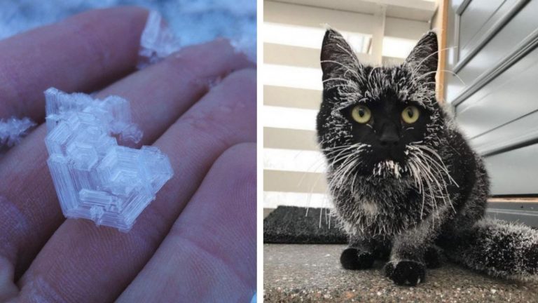 20 фото, которые не стоит смотреть тем, кто боится сильных морозов и глубокого снега