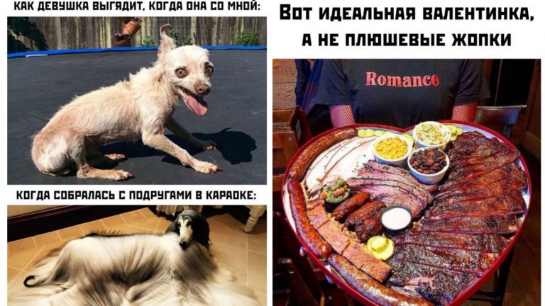 Прикольные картинки с надписями и идеальная валентинка