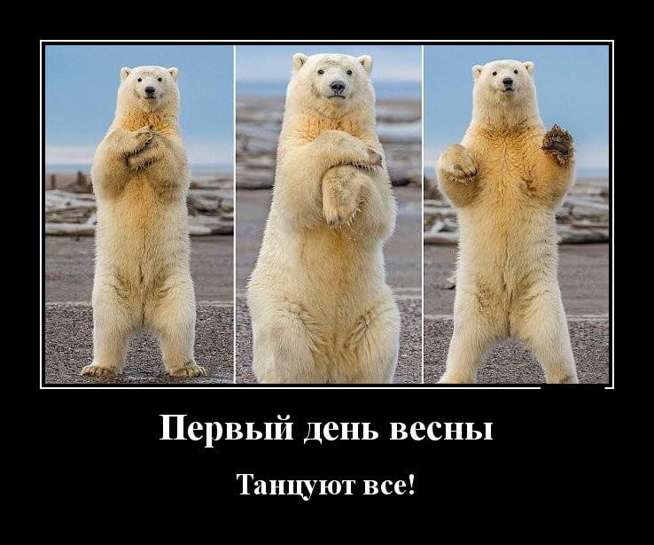 Новые демотиваторы и первый день весны