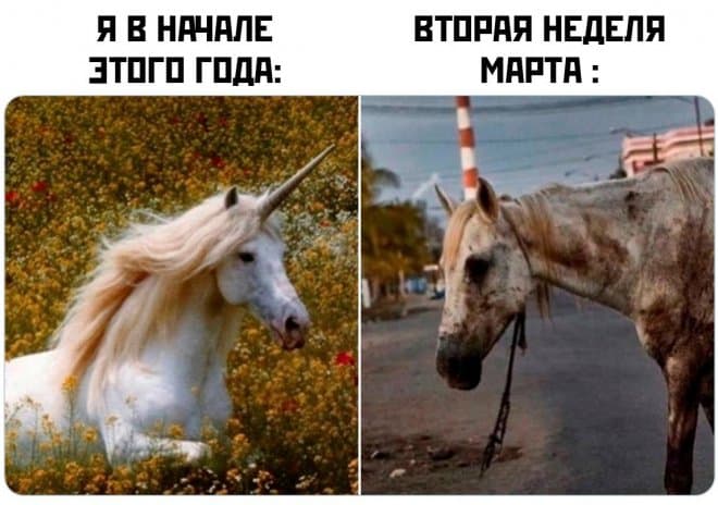 Пятничные фото приколы и вторая неделя марта