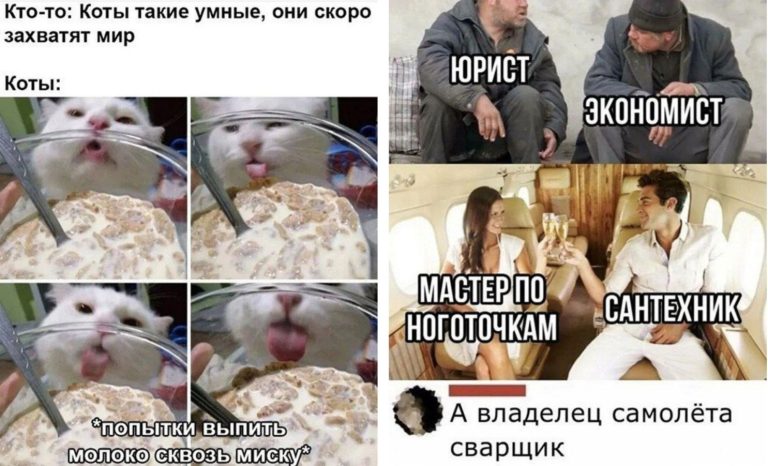 Воскресные фото приколы и почему котики не завоюют мир