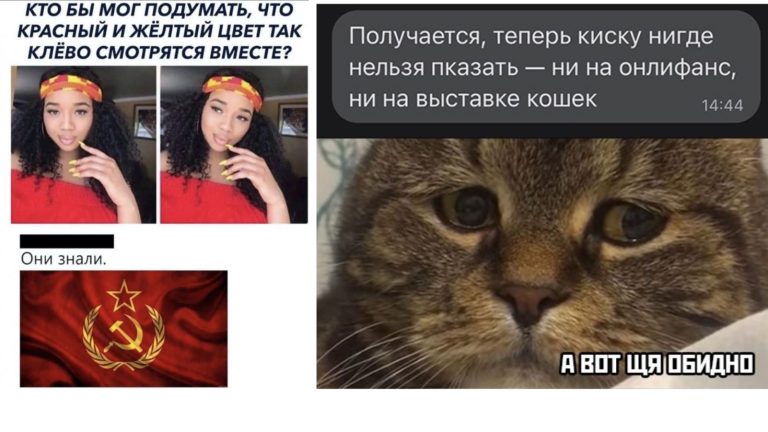 Фото приколы понедельника и погладить киску