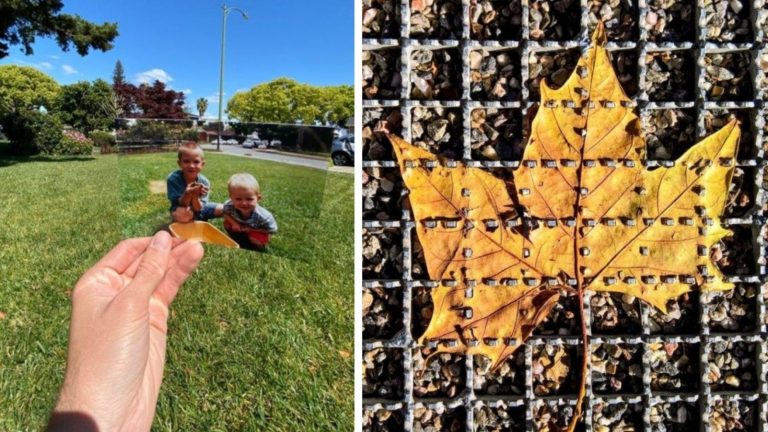 25 фотографий, которые доведут до экстаза истинного перфекциониста