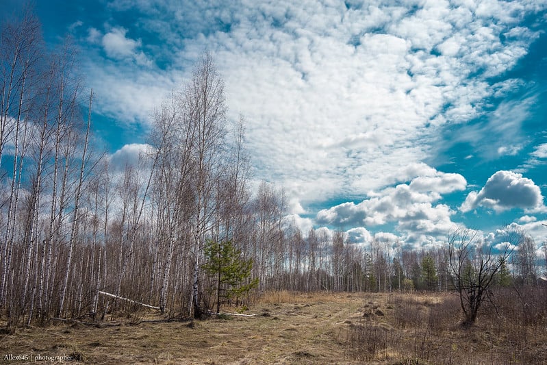 Погода: малооблачно и тепло