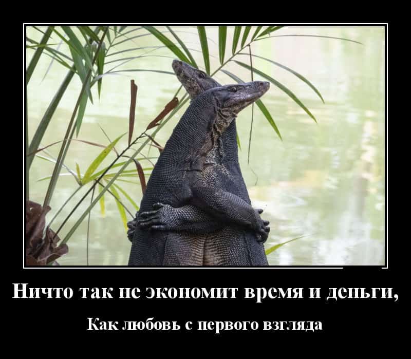 Новые демотиваторы и любовь с первого взгляда