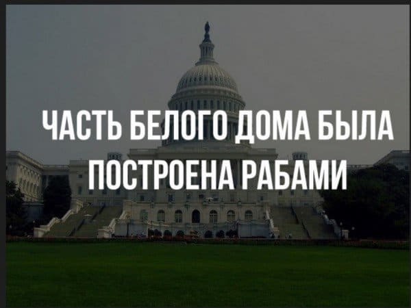 Кем построен Белый дом и ещё 19 фактов, к которым жизнь вас не готовила