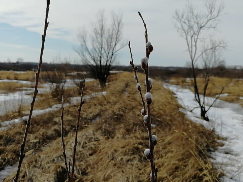 Погода: переменная облачность