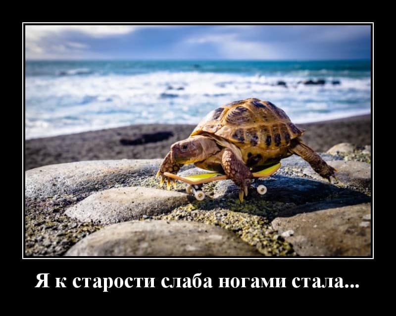 Новые демотиваторы и слабость в ногах