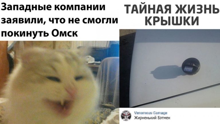 Фото приколы вторника и тайная жизнь крышечки