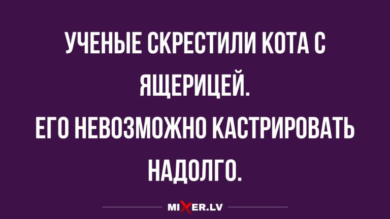 Юмор за день и новые виды животных