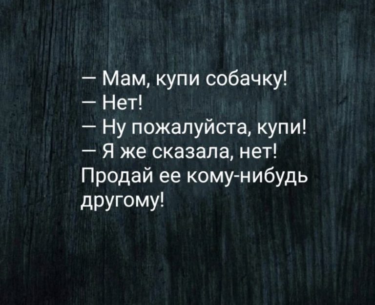Юмор за день и ценные бумаги